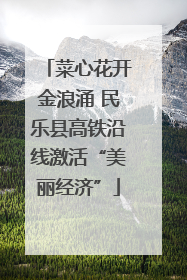菜心花开金浪涌 民乐县高铁沿线激活“美丽经济”