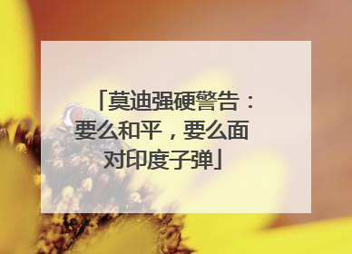 莫迪强硬警告：要么和平，要么面对印度子弹