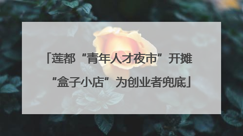 莲都“青年人才夜市”开摊 “盒子小店”为创业者兜底