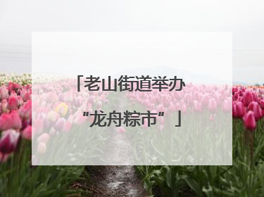 老山街道举办“龙舟粽市”
