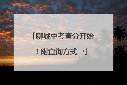 聊城中考查分开始！附查询方式→
