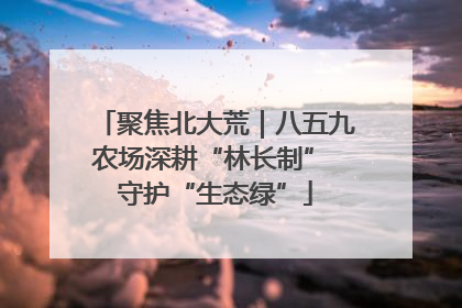 聚焦北大荒｜八五九农场深耕“林长制” 守护“生态绿”