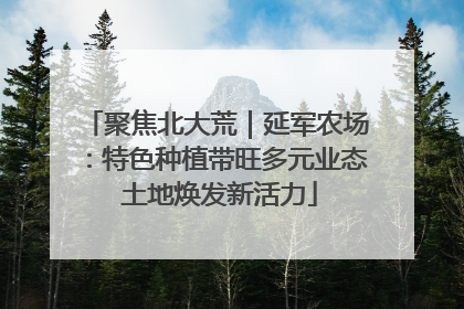 聚焦北大荒｜延军农场：特色种植带旺多元业态 土地焕发新活力