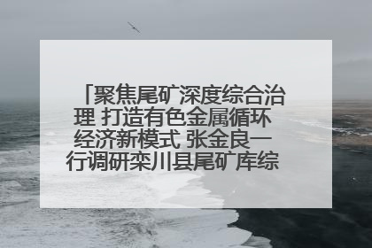 聚焦尾矿深度综合治理 打造有色金属循环经济新模式 张金良一行调研栾川县尾矿库综合治理工作