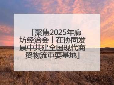 聚焦2025年廊坊经洽会丨在协同发展中共建全国现代商贸物流重要基地