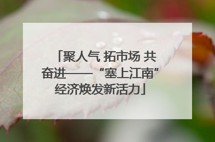 聚人气 拓市场 共奋进——“塞上江南”经济焕发新活力