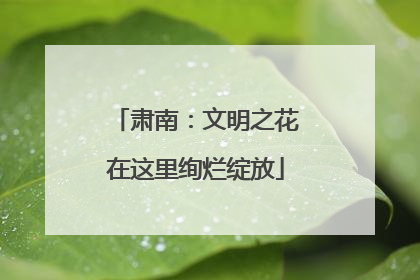 肃南：文明之花在这里绚烂绽放