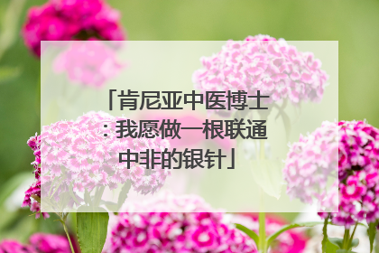 肯尼亚中医博士：我愿做一根联通中非的银针