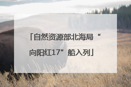 自然资源部北海局“向阳红17”船入列