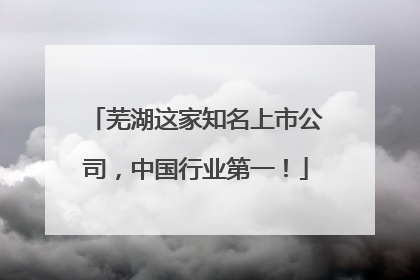 芜湖这家知名上市公司，中国行业第一！