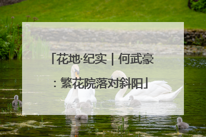 花地·纪实｜何武豪：繁花院落对斜阳