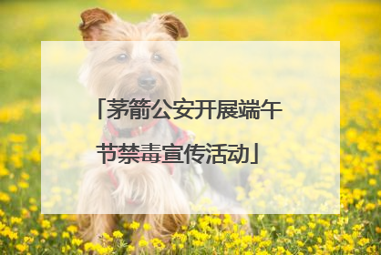 茅箭公安开展端午节禁毒宣传活动