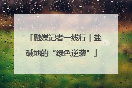融媒记者一线行｜盐碱地的“绿色逆袭”