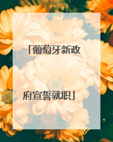 葡萄牙新政府宣誓就职
