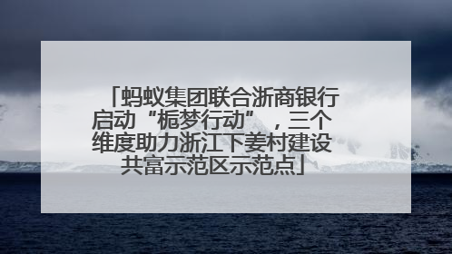 蚂蚁集团联合浙商银行启动“栀梦行动”，三个维度助力浙江下姜村建设共富示范区示范点