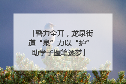 警力全开，龙泉街道“泉”力以“护”助学子握笔逐梦