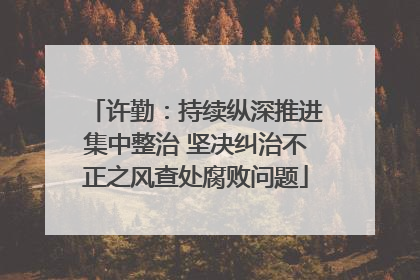 许勤：持续纵深推进集中整治 坚决纠治不正之风查处腐败问题