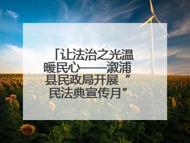 让法治之光温暖民心——溆浦县民政局开展“民法典宣传月” 普法活动