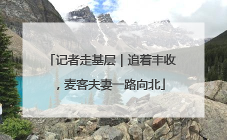 记者走基层｜追着丰收，麦客夫妻一路向北