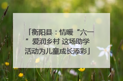 衡阳县：情暖“六一”爱润乡村 这场助学活动为儿童成长添彩