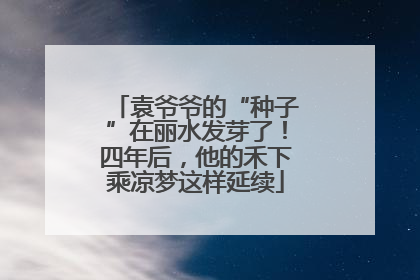 袁爷爷的“种子”在丽水发芽了！四年后，他的禾下乘凉梦这样延续