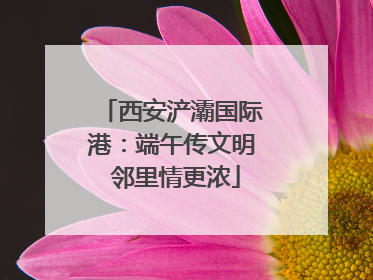 西安浐灞国际港：端午传文明 邻里情更浓