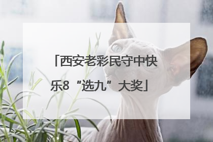 西安老彩民守中快乐8“选九”大奖