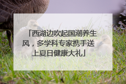 西湖边吹起国潮养生风，多学科专家携手送上夏日健康大礼