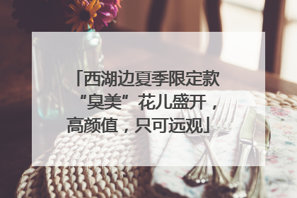 西湖边夏季限定款“臭美”花儿盛开，高颜值，只可远观