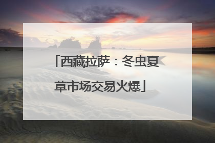 西藏拉萨：冬虫夏草市场交易火爆