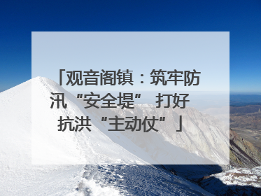 观音阁镇：筑牢防汛“安全堤” 打好抗洪“主动仗”