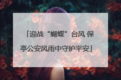 迎战“蝴蝶”台风 保亭公安风雨中守护平安