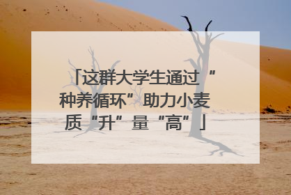 这群大学生通过“种养循环”助力小麦质“升”量“高”