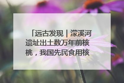 远古发现｜濛溪河遗址出土数万年前核桃，我国先民食用核桃历史大幅提前