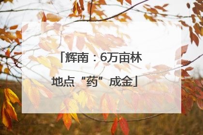 辉南：6万亩林地点“药”成金