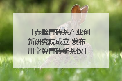 赤壁青砖茶产业创新研究院成立 发布川字牌青砖新茶饮