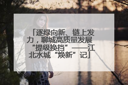 逐绿向新、链上发力，聊城高质量发展“提级换挡”——江北水城“焕新”记