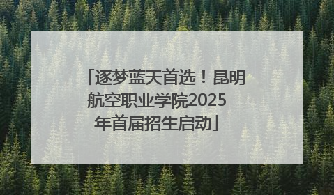 逐梦蓝天首选！昆明航空职业学院2025年首届招生启动