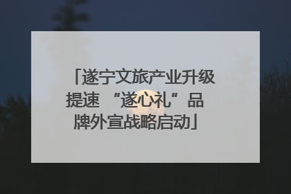 遂宁文旅产业升级提速 “遂心礼”品牌外宣战略启动