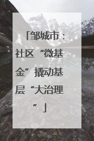 邹城市：社区“微基金”撬动基层“大治理”
