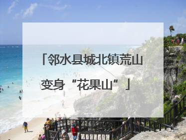邻水县城北镇荒山变身“花果山”