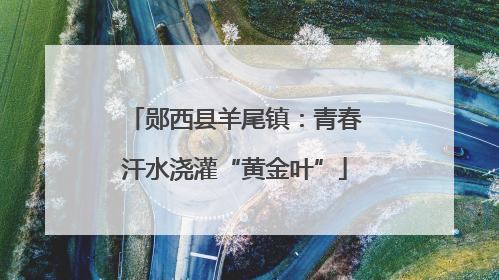 郧西县羊尾镇：青春汗水浇灌“黄金叶”