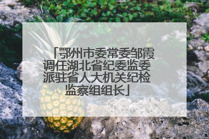 鄂州市委常委邹霞调任湖北省纪委监委派驻省人大机关纪检监察组组长