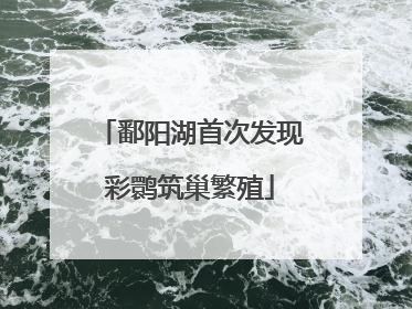 鄱阳湖首次发现彩鹮筑巢繁殖