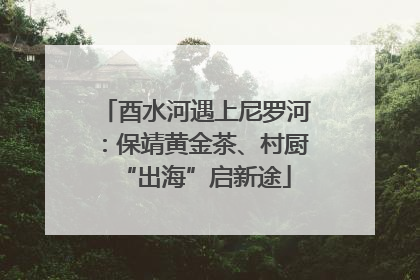 酉水河遇上尼罗河：保靖黄金茶、村厨“出海”启新途