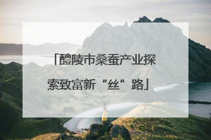醴陵市桑蚕产业探索致富新“丝”路