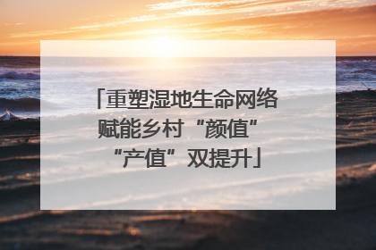 重塑湿地生命网络 赋能乡村“颜值”“产值”双提升