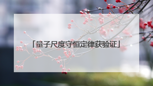 量子尺度守恒定律获验证