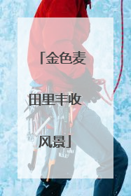 金色麦田里丰收风景