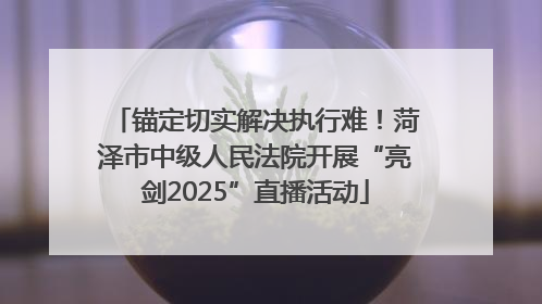 锚定切实解决执行难！菏泽市中级人民法院开展“亮剑2025”直播活动